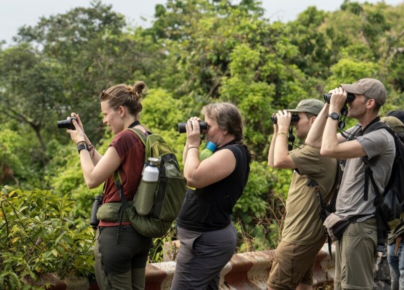 Autumn travel in Da Nang