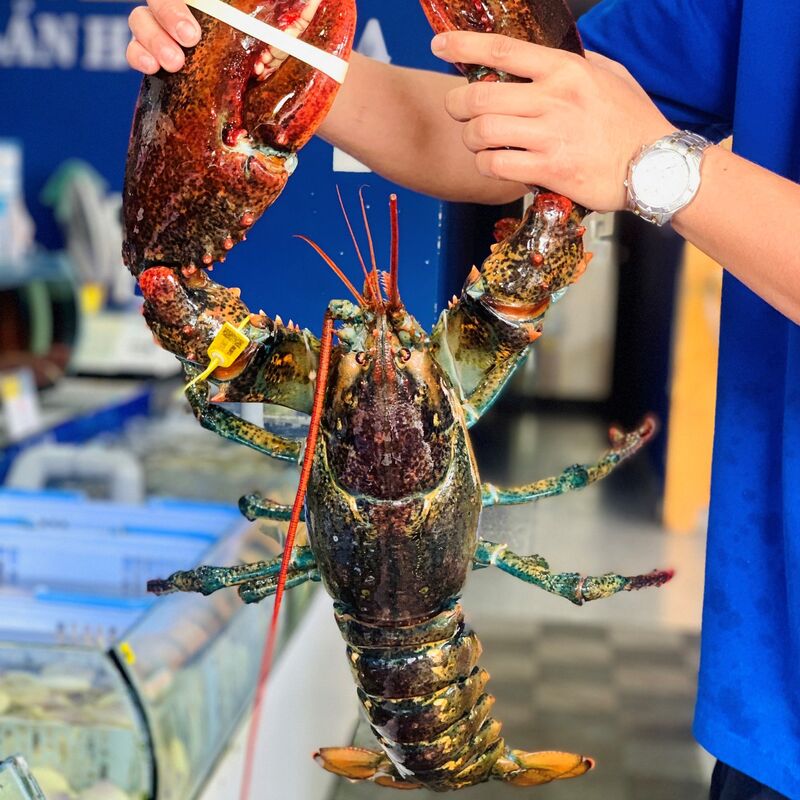 Da Nang fresh seafood