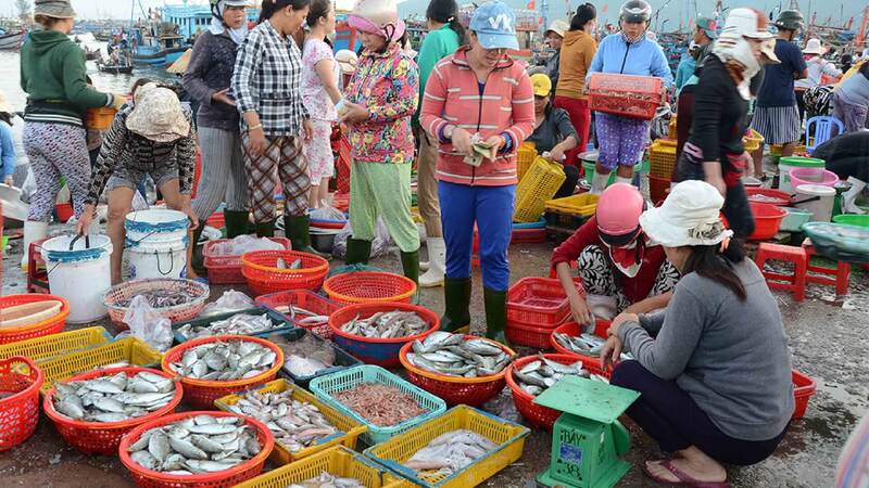 Da Nang seafood